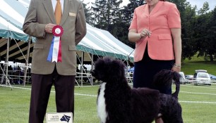 Saras and Kim Wendling, winning Best of Breed at the 2009 Regional Specialty Booster, Saturday July 11, 2009. Judge Ken Buxton