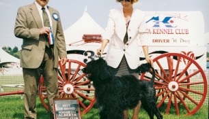 Best of Breed Alberta