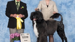 Group 3, Judge Doug Gaudin, handler Kim Wendling, Scarborough KC, 2009