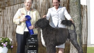 Saras, Group 1 win under Judge Virginia Lyne at the Association Canine de la Mauricie, June 25, 2010