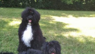 Saras and Ruby enjoying the summer at Shelter Valley