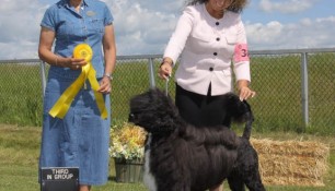 Saras at Evelyn Keney in Calgary, Group 3 under Judge Sue Ellyn Rempel, Michelle Pinsker-Yeadon handling