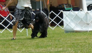 Schooner at Kilbride Show 2006