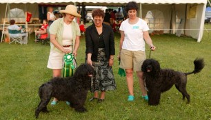 Schooner winner Veteran Sweeps with Roslyn, Judge Bev Jorgensen and BOS winner Sevenbeauty Nyssa with owner Jennifer Byers