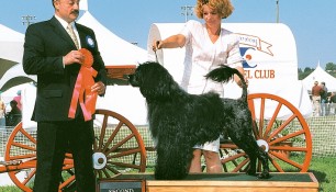 Second in Group Alberta Kennel Club