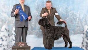 Nash in Group 1 at Ontario Breeders Association
