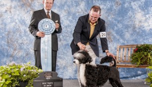 Sophie wins Best Puppy in Show