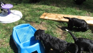 Water in the table to discover